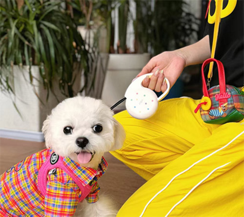 68e9d4c041ba7.jpg 68e9d4c041ba7.jpg